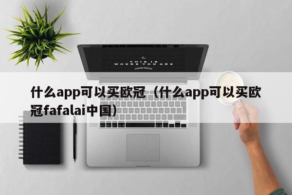 什么app可以买欧冠（什么app可以买欧冠fafalai中国）