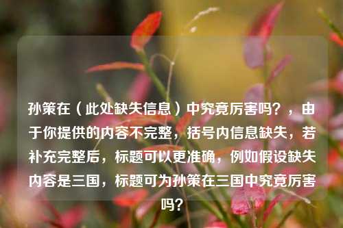 孙策在（此处缺失信息）中究竟厉害吗？，由于你提供的内容不完整，括号内信息缺失，若补充完整后，标题可以更准确，例如假设缺失内容是三国，标题可为孙策在三国中究竟厉害吗？