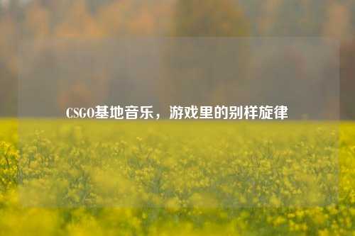CSGO基地音乐，游戏里的别样旋律