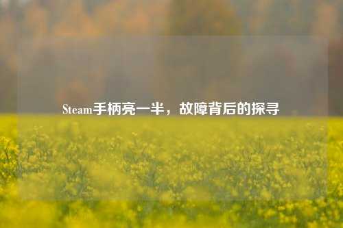 Steam手柄亮一半，故障背后的探寻