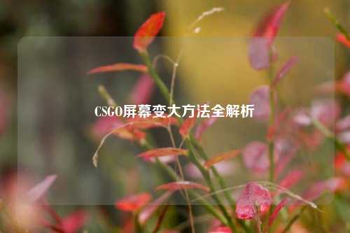 CSGO屏幕变大 *** 全解析