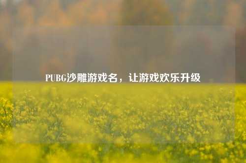 PUBG沙雕游戏名，让游戏欢乐升级