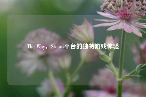 The Way，Steam平台的独特游戏体验