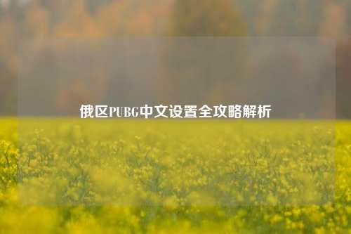 俄区PUBG中文设置全攻略解析