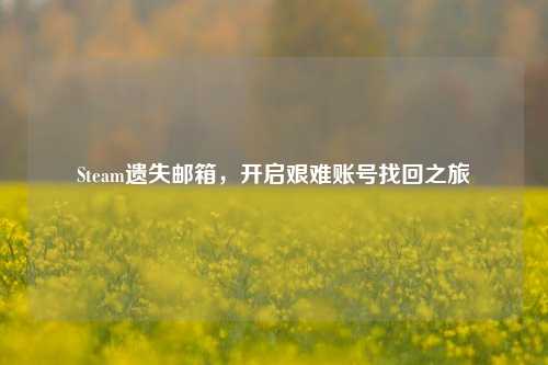 Steam遗失邮箱，开启艰难账号找回之旅