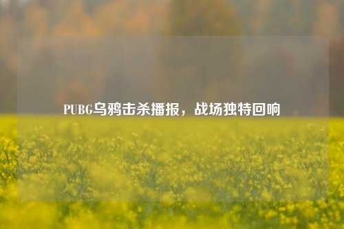 PUBG乌鸦击杀播报，战场独特回响