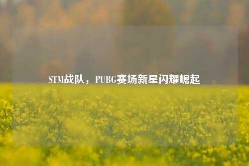 STM战队，PUBG赛场新星闪耀崛起