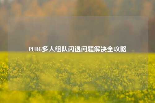 PUBG多人组队闪退问题解决全攻略