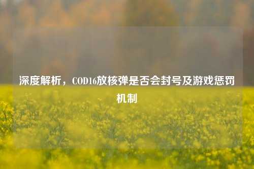 深度解析，COD16放核弹是否会封号及游戏惩罚机制