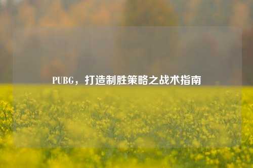 PUBG，打造制胜策略之战术指南