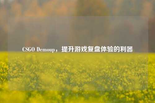 CSGO Demoup，提升游戏复盘体验的利器
