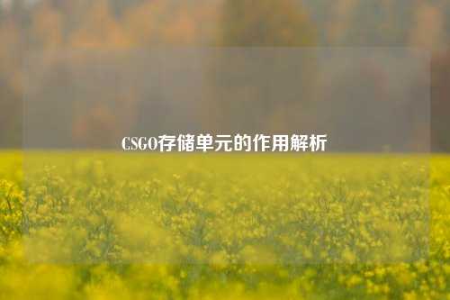 CSGO存储单元的作用解析
