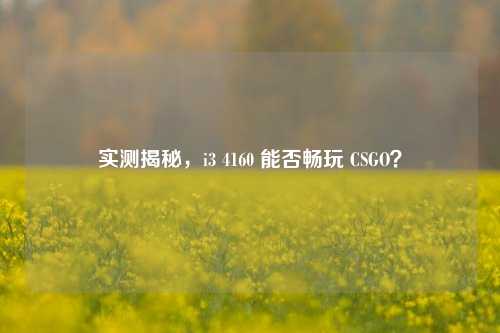 实测揭秘，i3 4160 能否畅玩 CSGO？