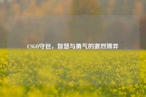 CSGO守包，智慧与勇气的激烈博弈