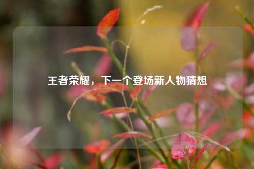 王者荣耀，下一个登场新人物猜想