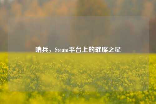 哨兵，Steam平台上的璀璨之星