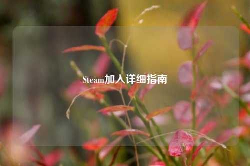 Steam加入详细指南