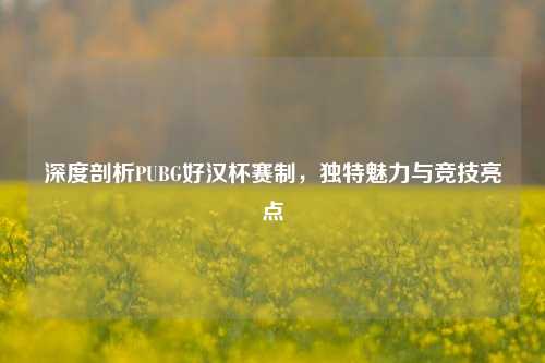 深度剖析PUBG好汉杯赛制，独特魅力与竞技亮点