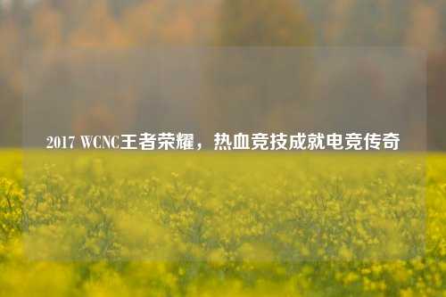2017 WCNC王者荣耀，热血竞技成就电竞传奇