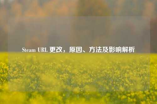 Steam URL 更改，原因、 *** 及影响解析