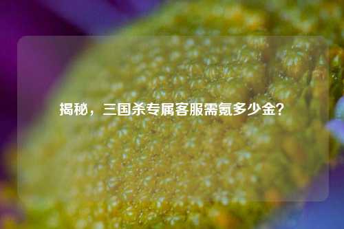 揭秘，三国杀专属 *** 需氪多少金？