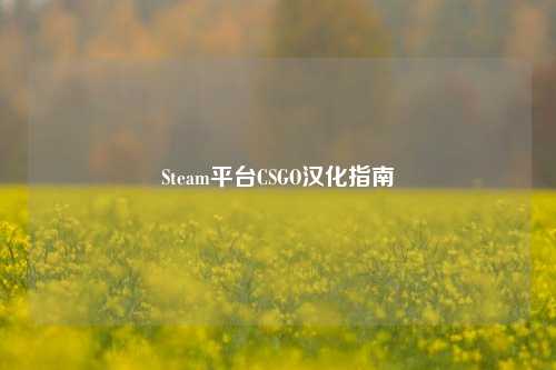 Steam平台CSGO汉化指南