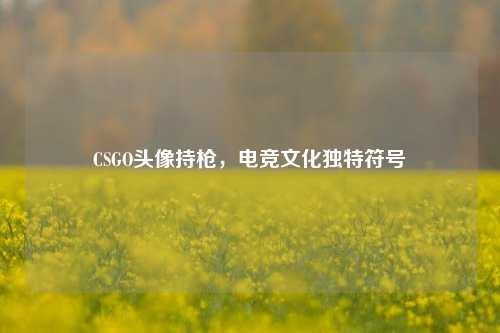 CSGO头像持枪，电竞文化独特符号