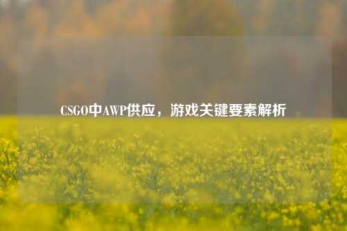 CSGO中AWP供应，游戏关键要素解析