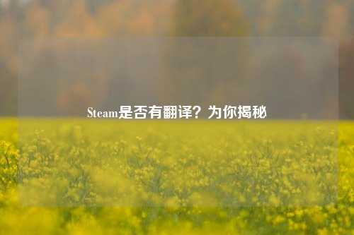 Steam是否有翻译？为你揭秘