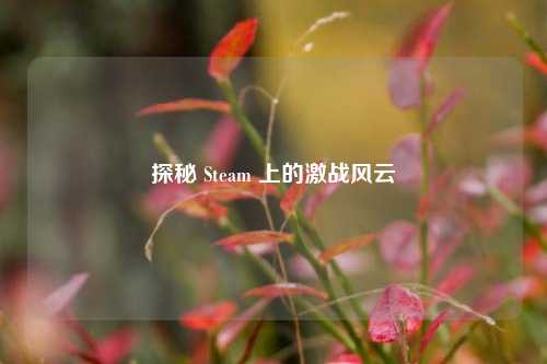 探秘 Steam 上的激战风云