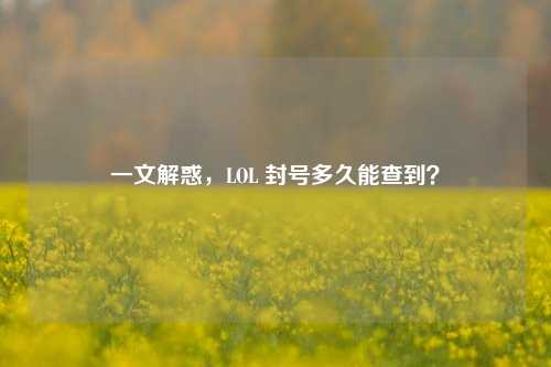 一文解惑，LOL 封号多久能查到？