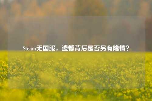 Steam无国服，遗憾背后是否另有隐情？