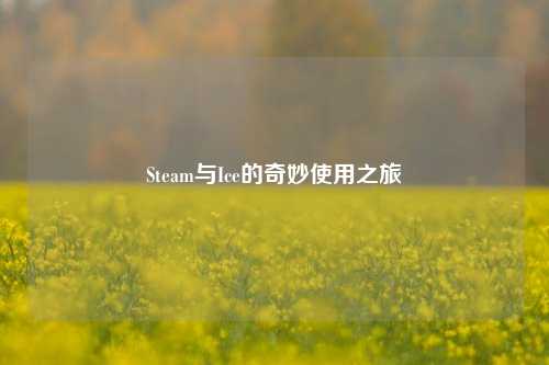 Steam与Ice的奇妙使用之旅