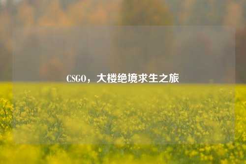 CSGO，大楼绝境求生之旅
