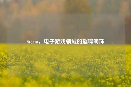 Steam，电子游戏领域的璀璨明珠
