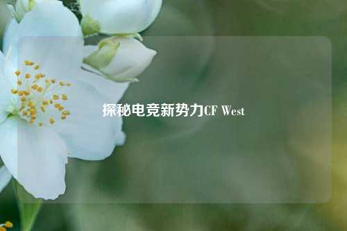 探秘电竞新势力CF West
