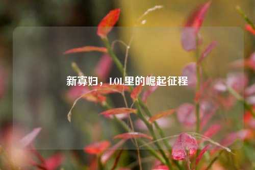 新寡妇，LOL里的崛起征程