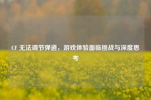 CF 无法调节弹道，游戏体验面临挑战与深度思考