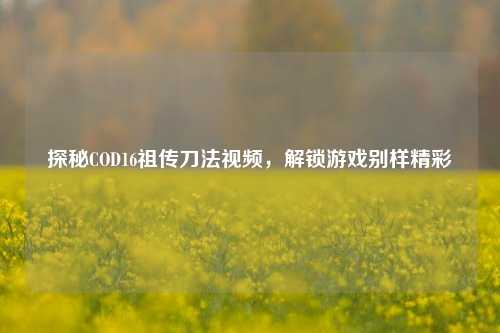 探秘COD16祖传刀法视频，解锁游戏别样精彩