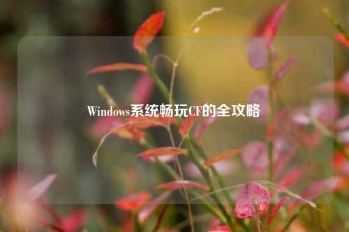 Windows系统畅玩CF的全攻略