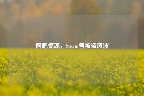 网吧惊魂，Steam号被盗风波