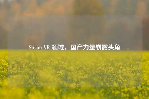Steam VR 领域，国产力量崭露头角