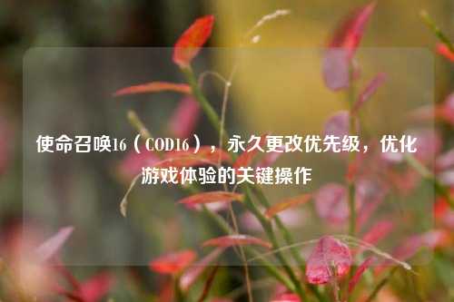 使命召唤16（COD16），永久更改优先级，优化游戏体验的关键操作