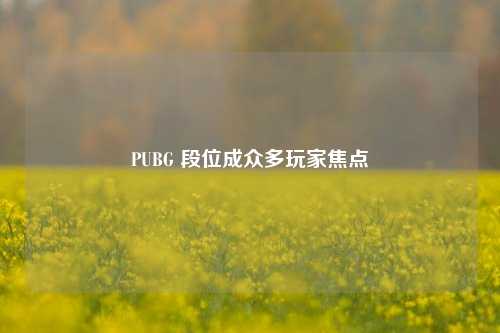 PUBG 段位成众多玩家焦点