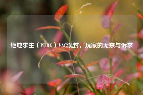 绝地求生（PUBG）VAC误封，玩家的无奈与诉求
