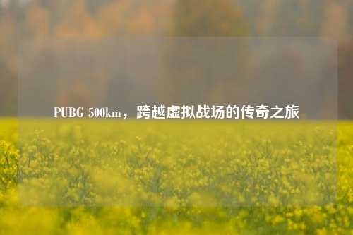 PUBG 500km，跨越虚拟战场的传奇之旅