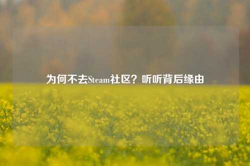 为何不去Steam社区？听听背后缘由