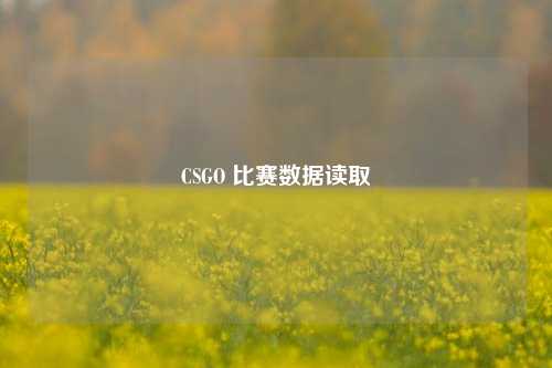 CSGO 比赛数据读取