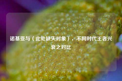 诺基亚与（此处缺失对象），不同时代王者兴衰之对比