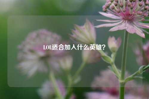LOL适合加入什么英雄？